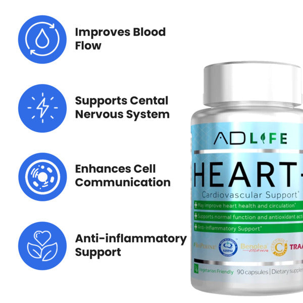 Heart Health Cardiovascular Maintenance Heart Health