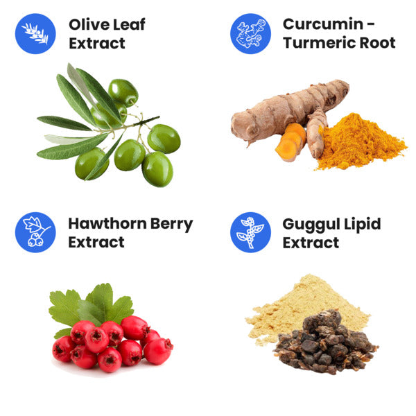 Heart+ Supplement - Cardiovascular and Heart Support | Project AD