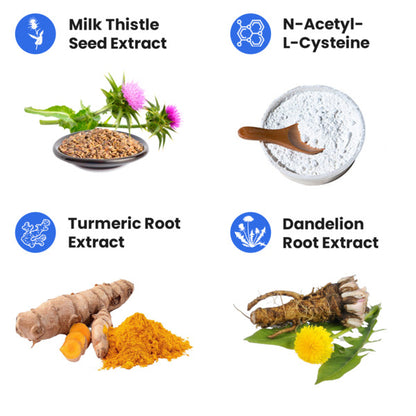 Liver+™ | Liver Support